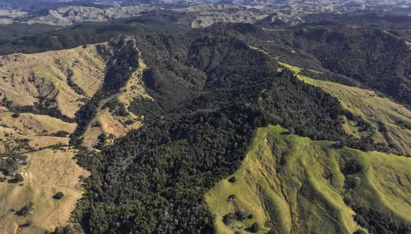 77 Remiger Road, Puhoi