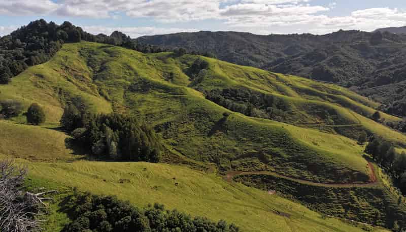 77 Remiger Road, Puhoi