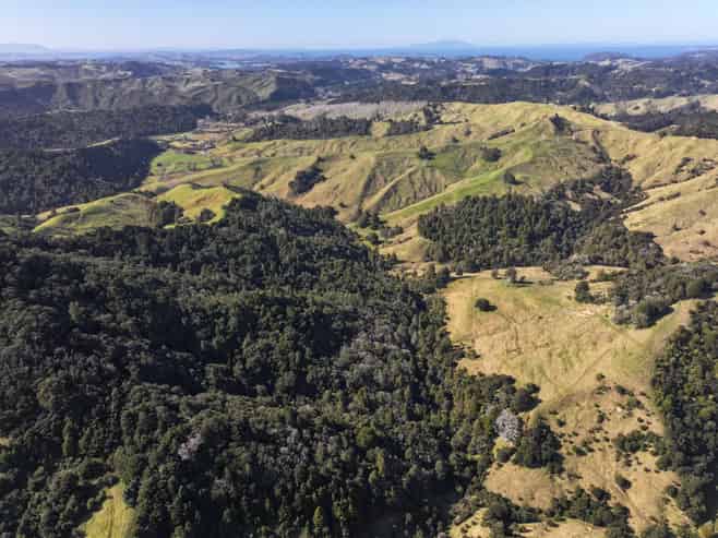 77 Remiger Road, Puhoi