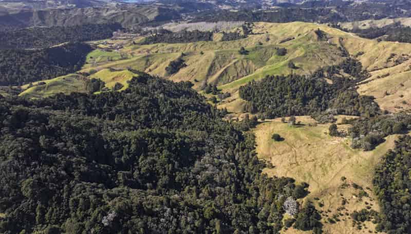 77 Remiger Road, Puhoi