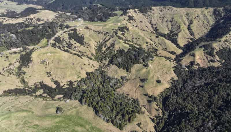 77 Remiger Road, Puhoi