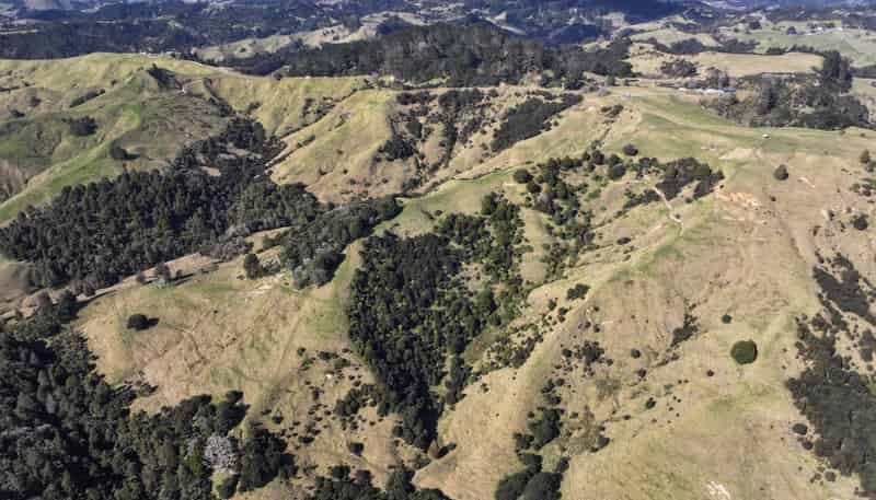 77 Remiger Road, Puhoi