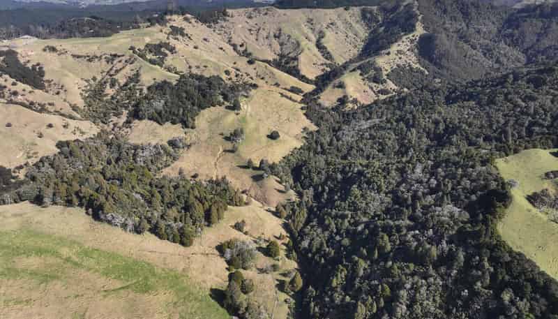 77 Remiger Road, Puhoi