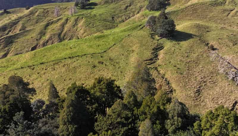 77 Remiger Road, Puhoi