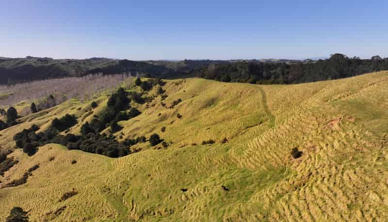 77 Remiger Road, Puhoi