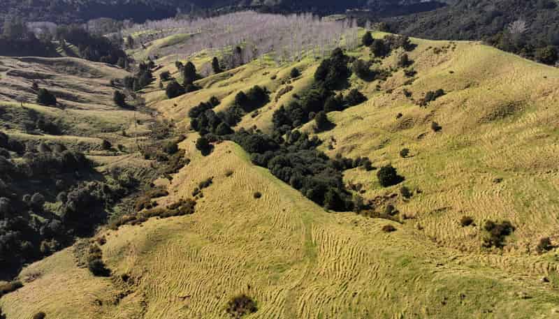 77 Remiger Road, Puhoi