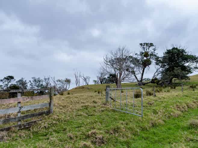 198 Carey Road, Coromandel