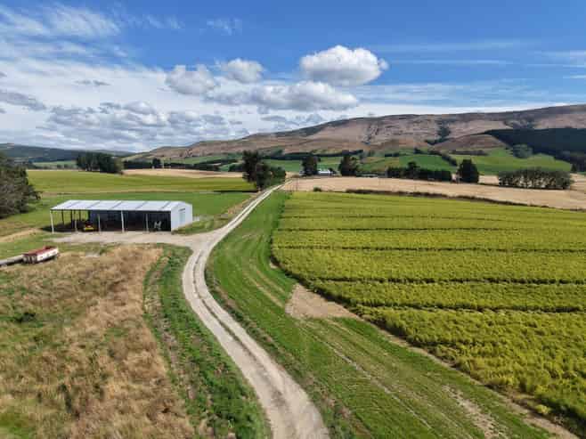 1485 Hillfoot Road, Kaihiku