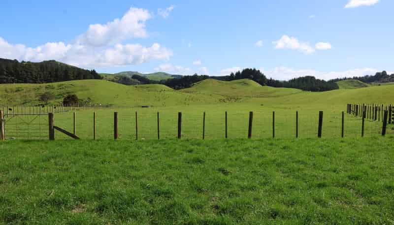 98 Millstream Road, Dannevirke