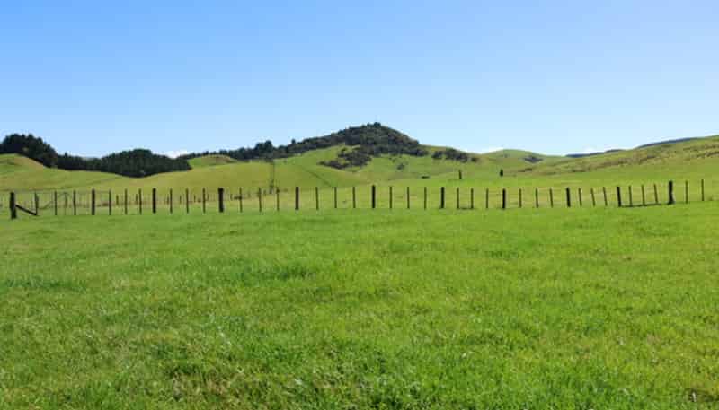 98 Millstream Road, Dannevirke