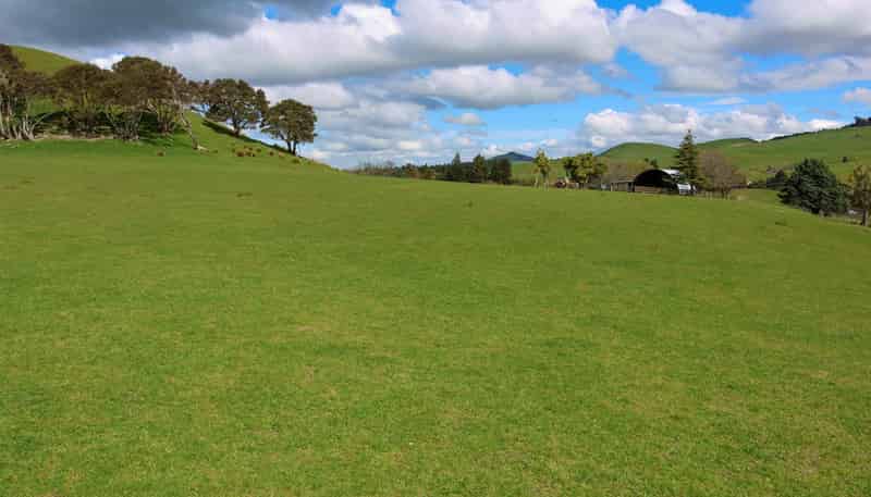 98 Millstream Road, Dannevirke