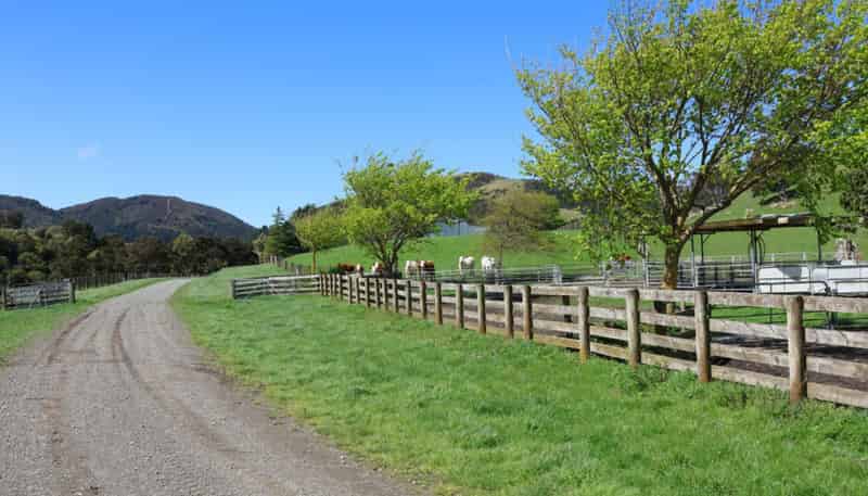 98 Millstream Road, Dannevirke