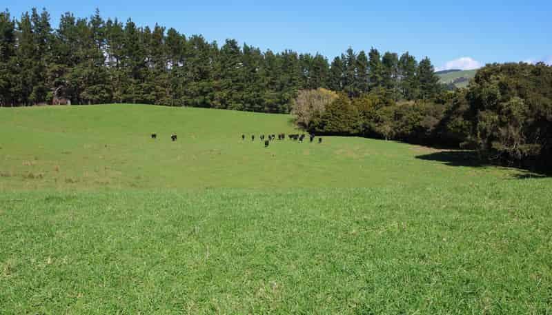 98 Millstream Road, Dannevirke