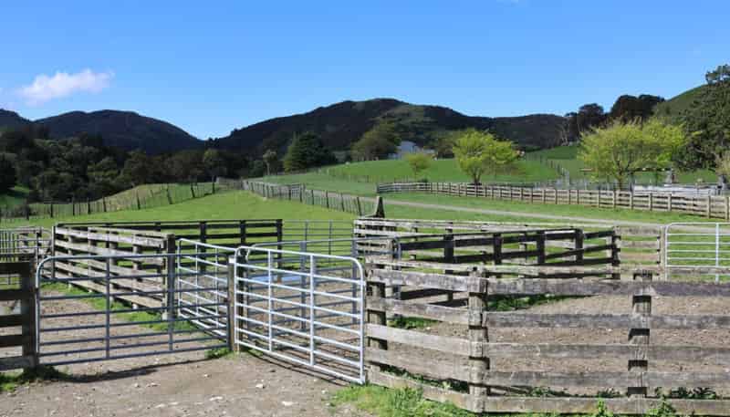 98 Millstream Road, Dannevirke