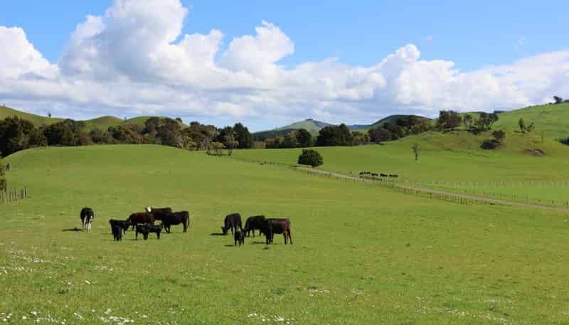 98 Millstream Road, Dannevirke
