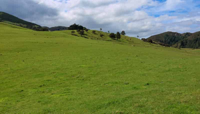 98 Millstream Road, Dannevirke