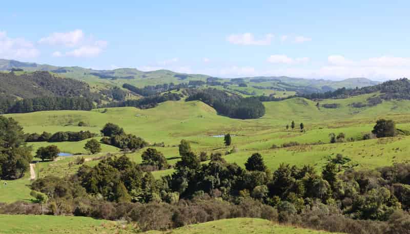 98 Millstream Road, Dannevirke