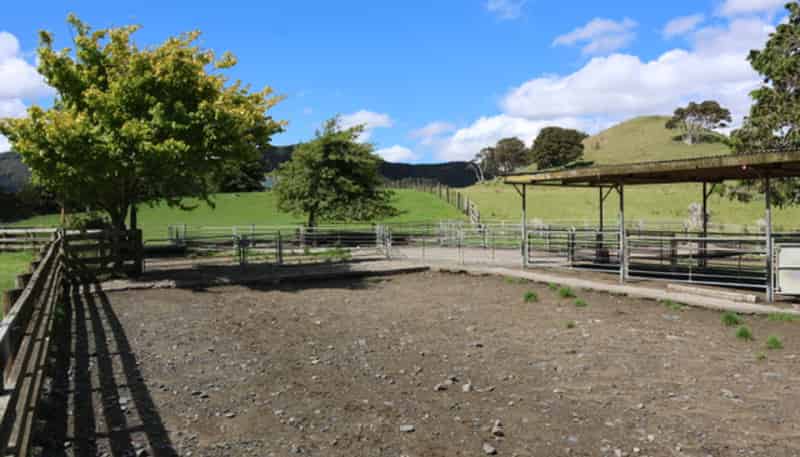 98 Millstream Road, Dannevirke