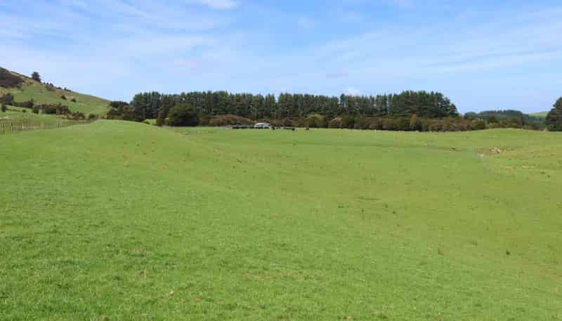 98 Millstream Road, Dannevirke