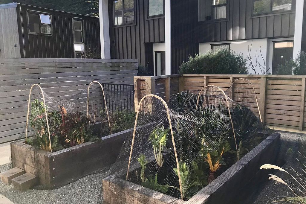 Sunny, peaceful modern townhouse with veggie beds 4