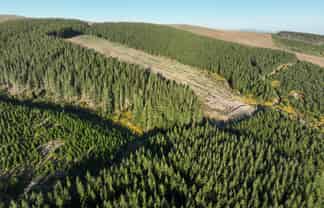 920 Dipton Mossburn Road, Castle Downs