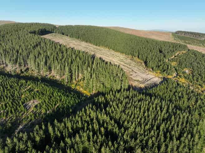 920 Dipton Mossburn Road, Castle Downs
