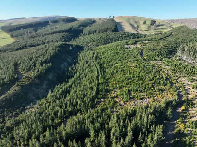 920 Dipton Mossburn Road, Castle Downs