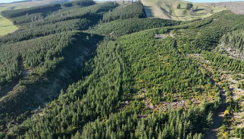 920 Dipton Mossburn Road, Castle Downs