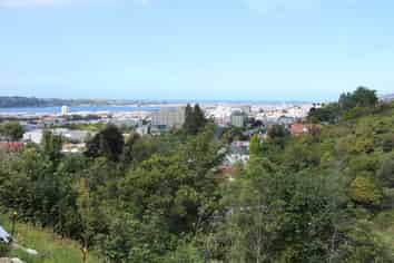 20C Lachlan Avenue, North Dunedin