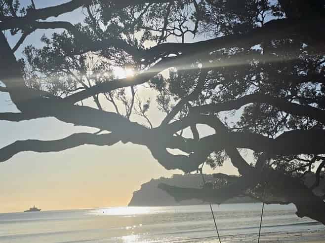 278 Vipond Road, Stanmore Bay