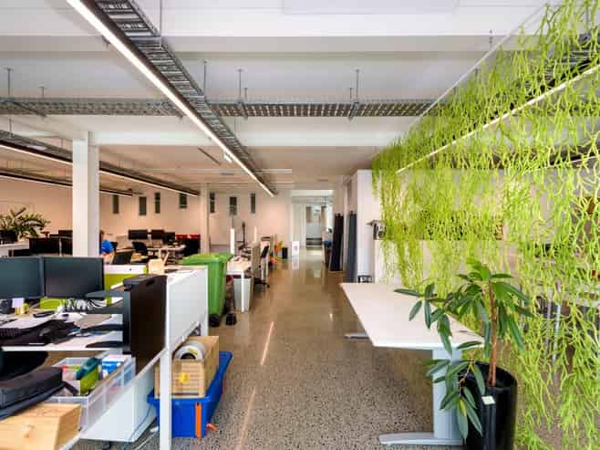 Top Floor Freemans Bay Office