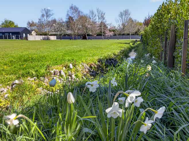 5 Oates Place, Greytown