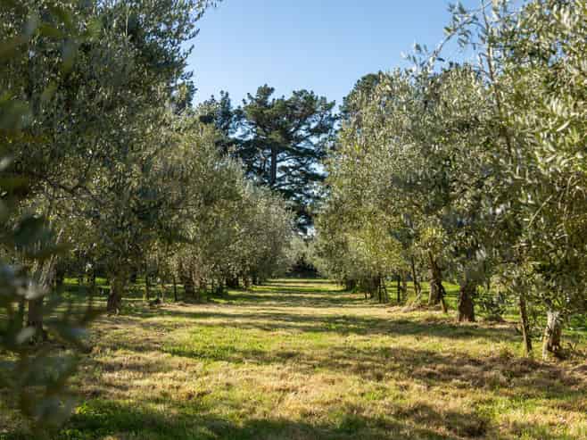 417 Upper Plain Road, Masterton