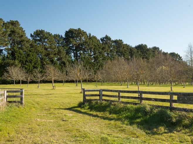 417 Upper Plain Road, Masterton