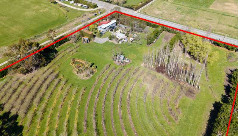 5 Mona Vale Street, Waikari