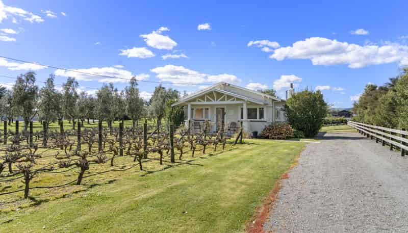 49 Oxford Street, Martinborough