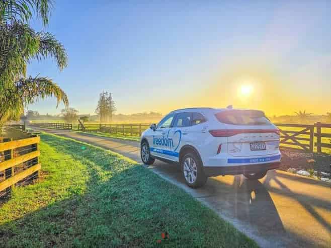 Companion Driving Business | Hawke's Bay