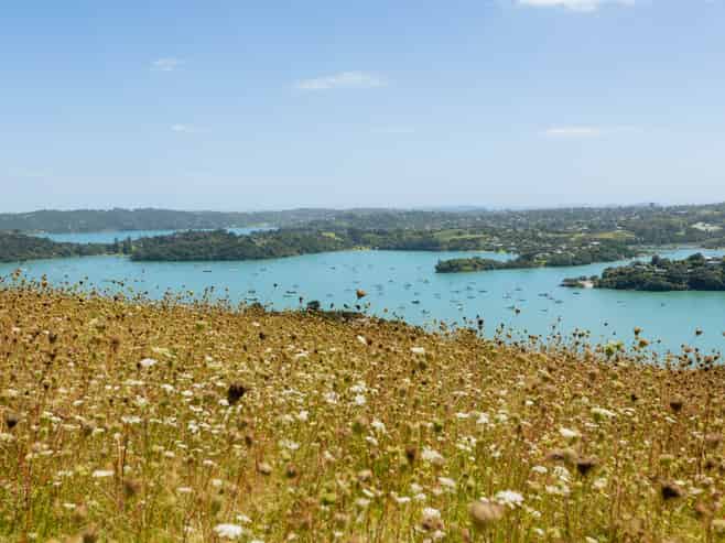 36 Vintage Lane, Waiheke Island