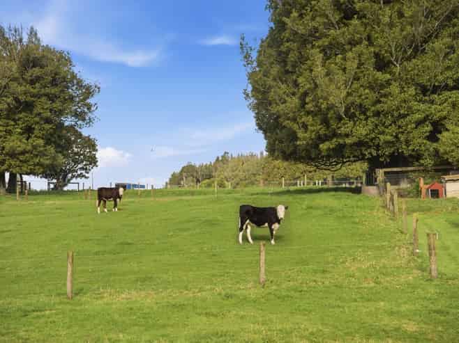 950B No 2 Road, Te Puke