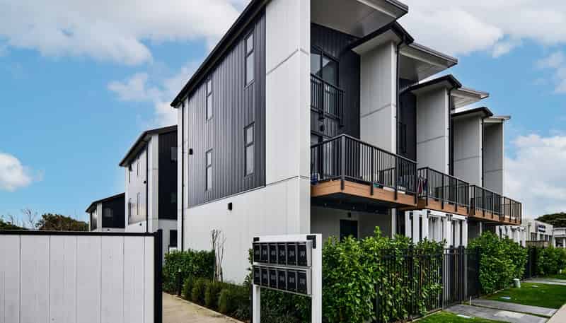11/41 Collingwood Street, Waterloo