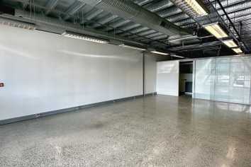 Modern Open-Plan Office - Mount Eden
