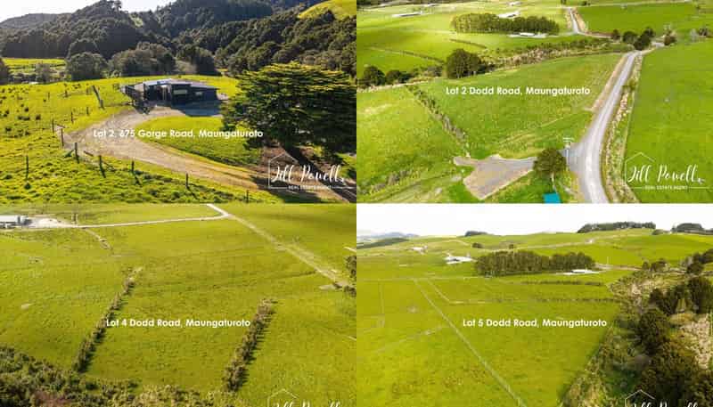 Lots/2, 4, 5 Dodd Road, Maungaturoto