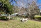 25 Wayby Station Road, Wellsford, Rodney, Auckland