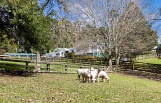 25 Wayby Station Road, Wellsford