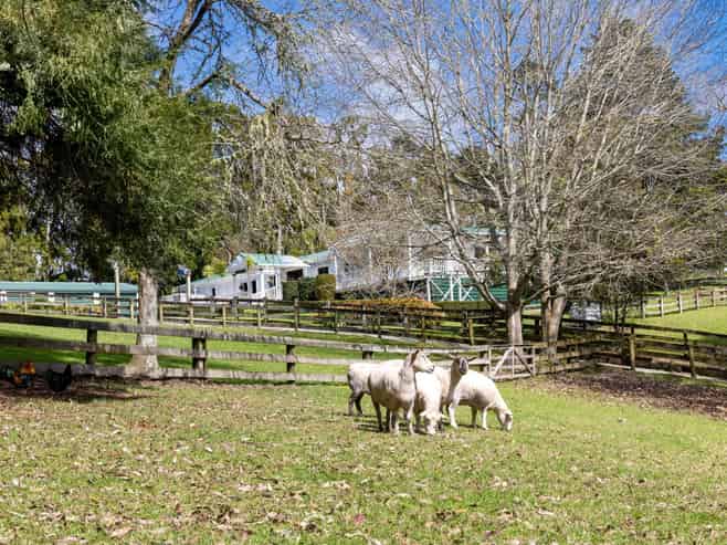 25 Wayby Station Road, Wellsford