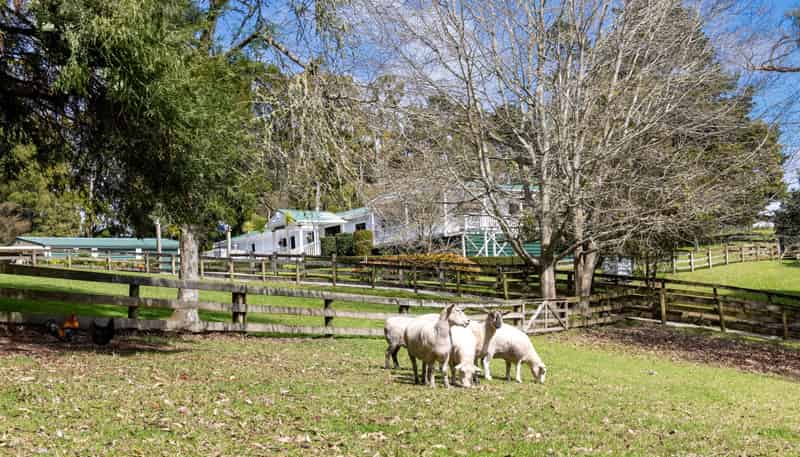 25 Wayby Station Road, Wellsford