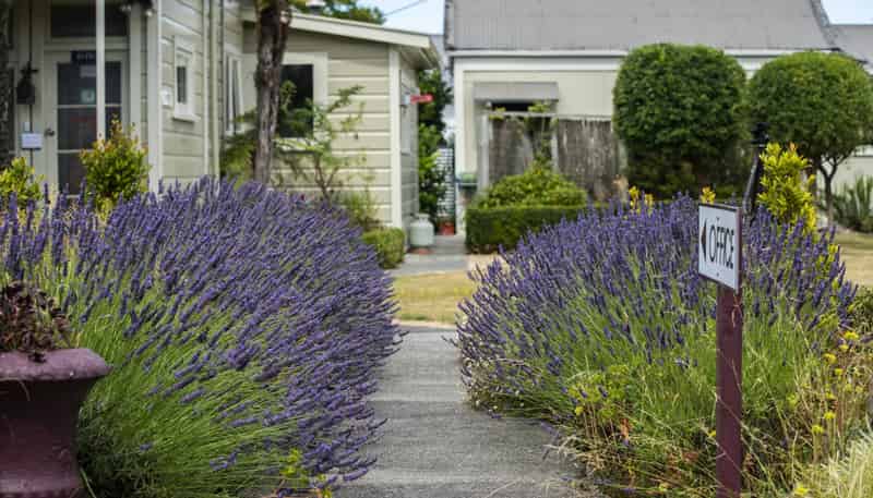 119 Cornwall Street, Masterton