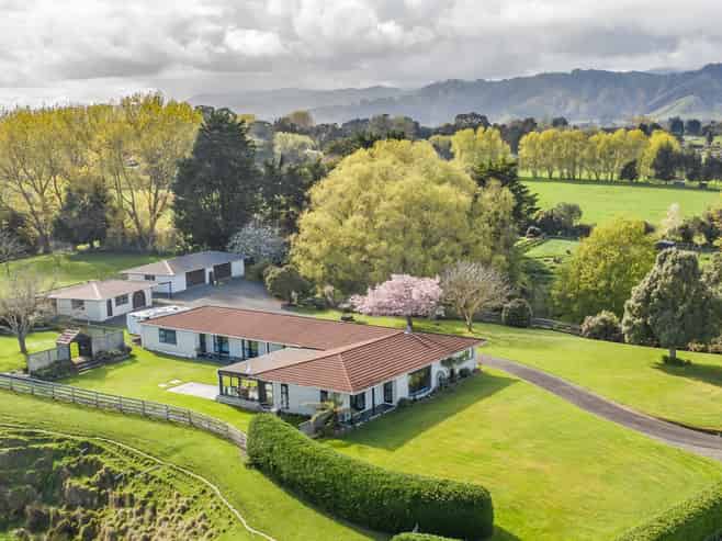 39A The Avenue, Levin