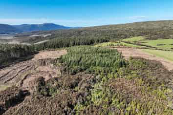 1250 Mokoreta Tahakopa Road, Tahakopa Valley