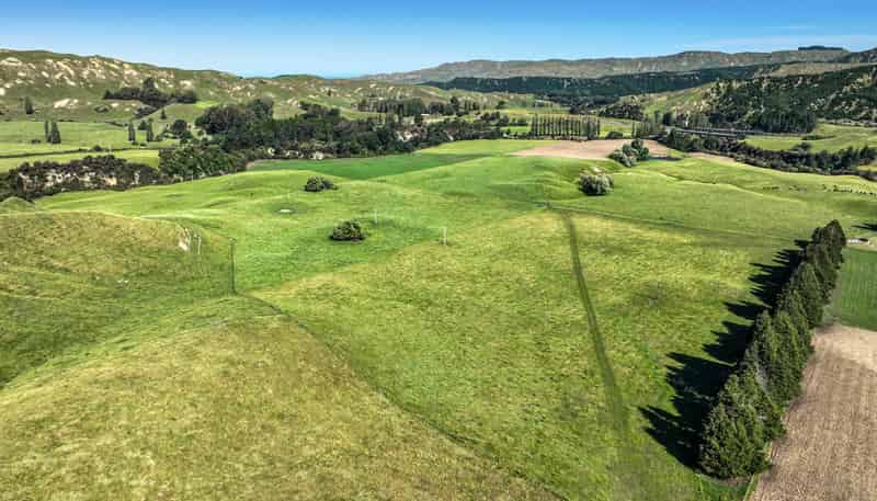 4551 Wairoa Road, Tutira